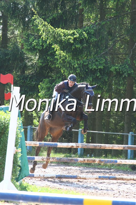 104M7909_Spring A.JPG